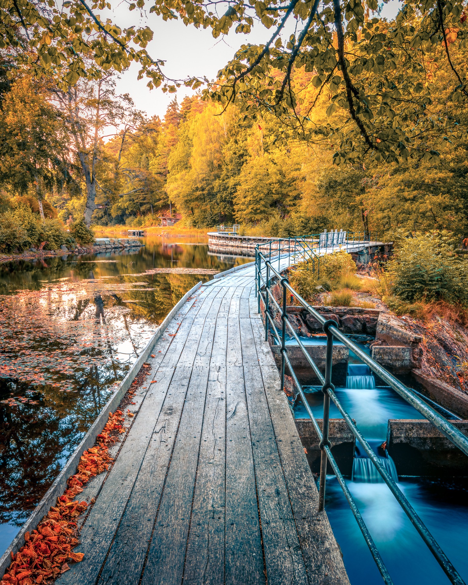 Foto: Milan Randjelovic