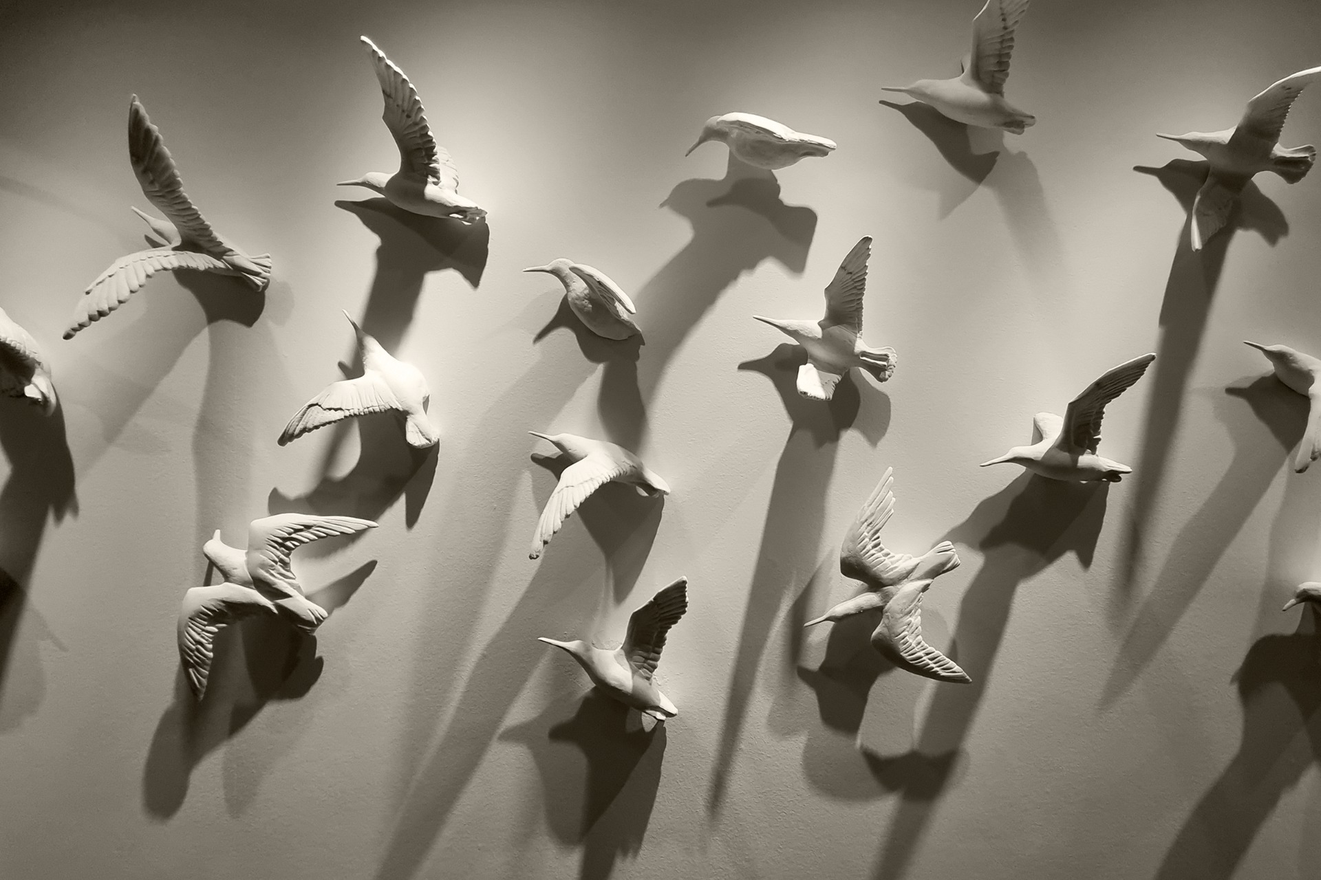 Foto: Hege Ødegård