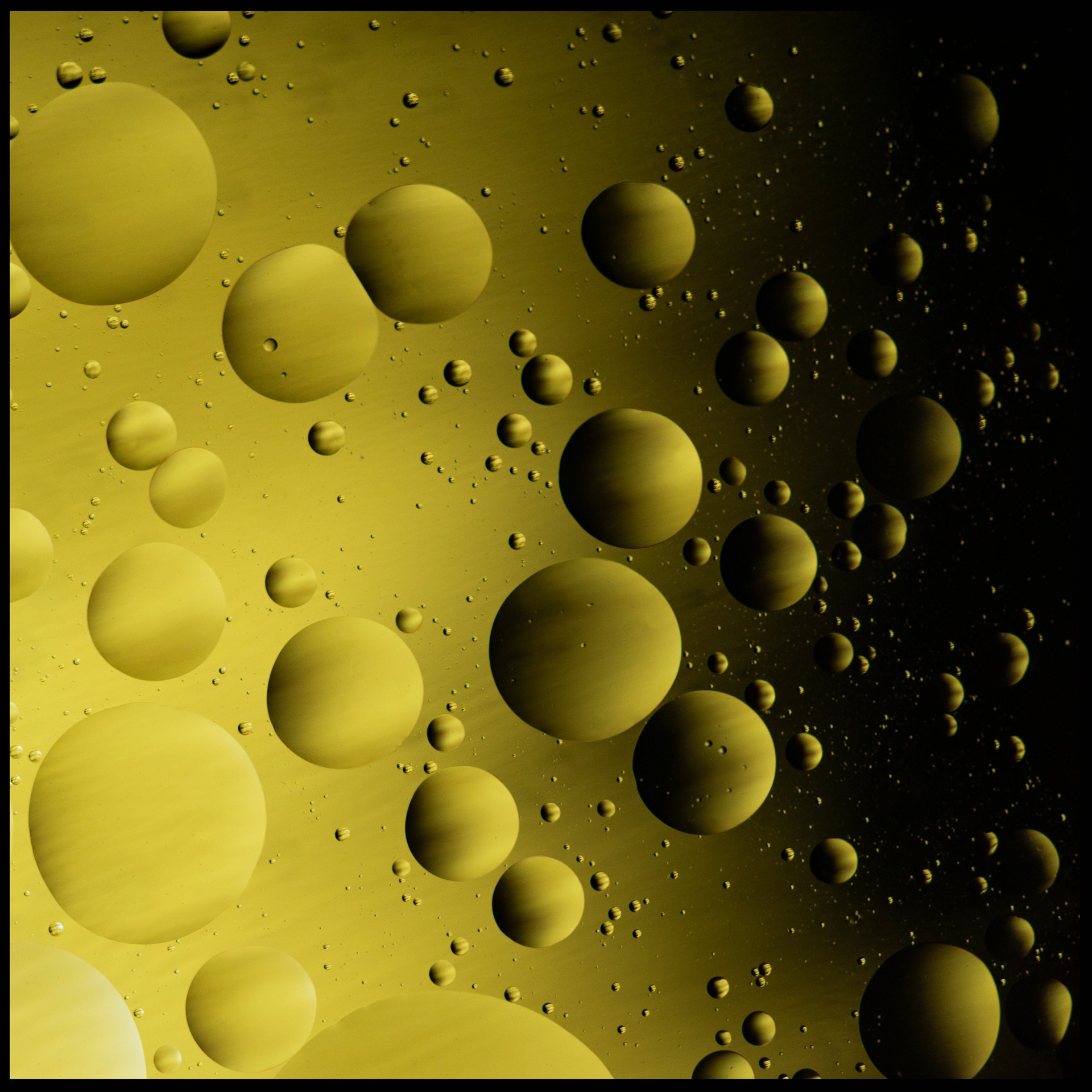 Foto: Hege Ødegård