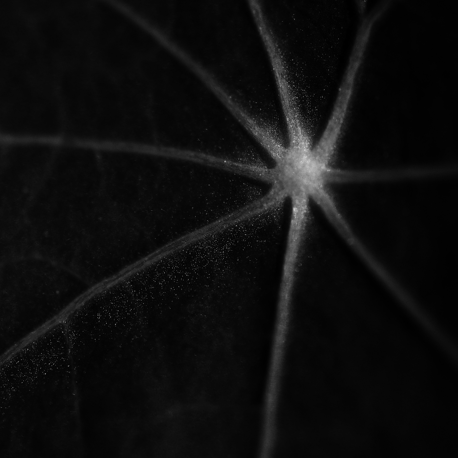 Foto: Kai-Erik Uleberg