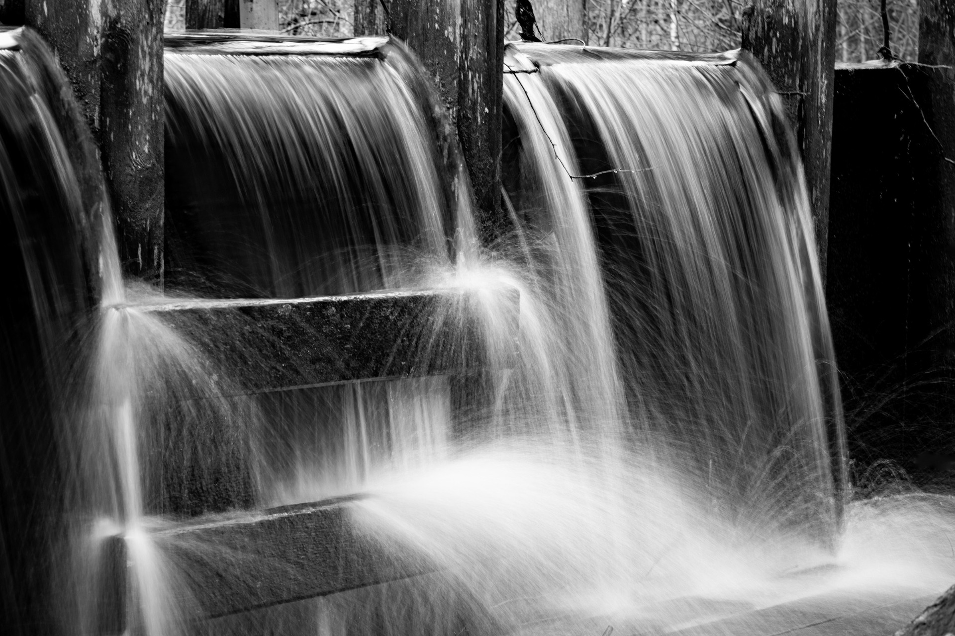 Foto: Hege Ødegård