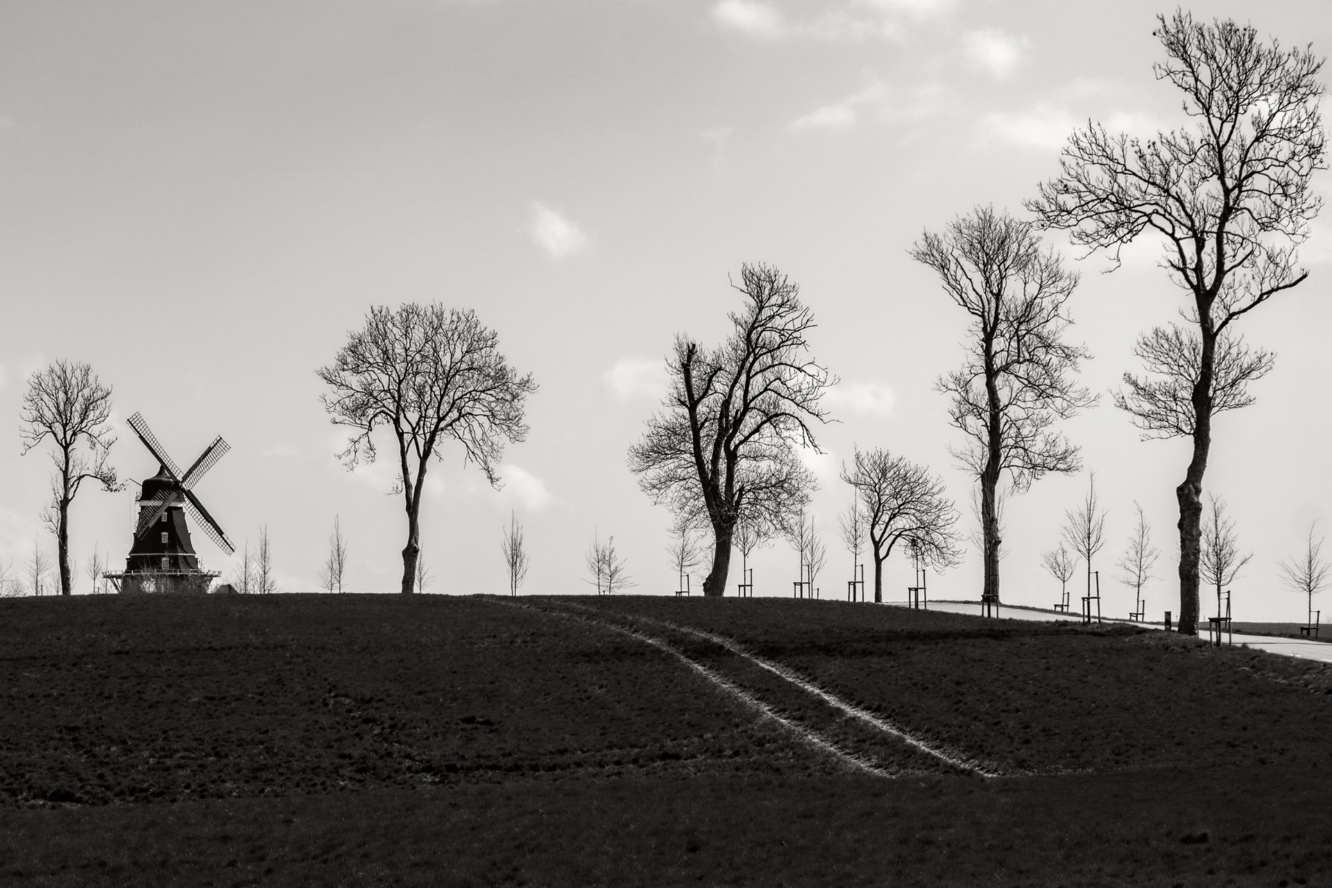 Foto: Hege Ødegård